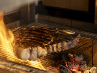 【飲み放題付きコース】FESTA フェスタ  スペシャルプラン 