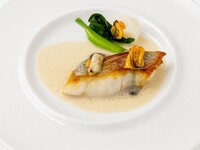 【平日MAX10組様限定】フルコースプラン 全5皿