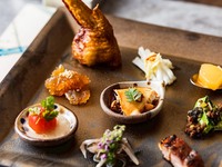 Opening celebration special course