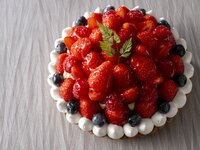[Anniversary Option] Strawberry Forest Tart No. 5