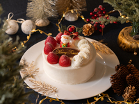 ガトーシャンティ【5号】