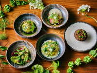 Go GREEN ★Vegetarian 5 course