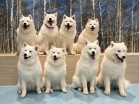 Weekends and Holidays: Private plan (50 minutes) ¥45,000