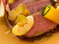 Anniversary Special Courses