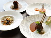 ウェルネスコース