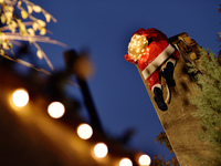 20周年ギフト付き　クリスマス　鉄板焼きランチコース