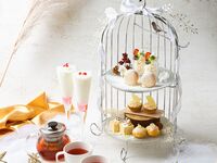 【アフタヌーンセット付きランチ】前菜5種盛り+5種から選べるメイン+季節のアフタヌーンセット付｜贅沢ランチ（ランチ＋アフタヌーン）