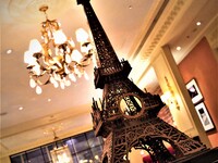 【12/20,21,22,23】クリスマス特別ディナー 20000円→18000円