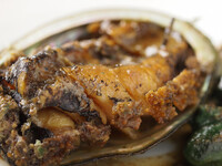 海の幸コース +【数量限定】北海道産えぞ鮑付き　20,000円 (税込) 