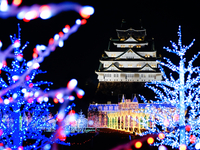 [Osaka Castle Illumination 2025 admission ticket included] Full course dinner + free drinks