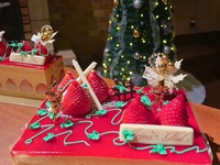 2025-ヴァレデフレーズ-ホール17×14㎝