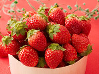 苺フェア｜ディナー｜未就学児