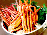 《契約企業様》【第2部・4歳～12歳】年末年始ディナービュッフェ