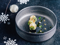 [Xmas] Xmas limited course