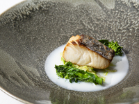 HIGASHIYAMA LUNCH　【鮮魚の幽庵風ポワレ　春キャベツのブレゼとアサリのチャウダー仕立て】