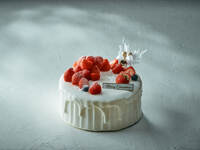 Neige Blanche (ネージュ・ブランシュ) 15 cm