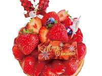 ノエルタルトフレーズ（4号サイズ）