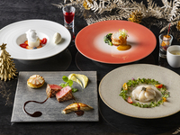 【12月6日、13日、20日、24日、27日限定！】 お台場レインボー花火を楽しむディナープラン