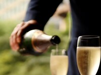 フリーフロープラン 12/20~