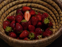 12月　終始の旅