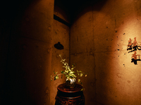 おまかせランチーコース 2月28日限定