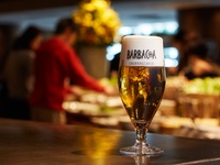 【平日月〜木限定】乾杯ドリンク付き+シュラスコディナー