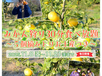 ★みかん狩り30分食べ放題（5個摘みとりお土産つき）