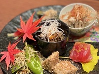 Oginoya Restaurant Set