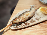 ●２時間半飲み放題コース（旬のお料理+飲み放題)」