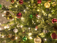 【土・日・祝日 オンライン限定！乾杯スパークリングワイン付き】ホリデークリスマスランチ［ランチフルコース・全5品］