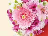 【お祝いプラン】12,000円　乾杯スパークリング、卓上花　1月4日から