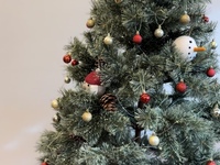 menu Noël(20.21.23.24.25日)