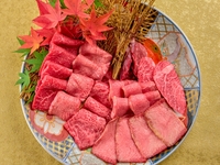[Yakitori Only Set] Today is meat day! We have prepared a set to enjoy on such a day. We have 12 carefully selected yakiniku slices! You can choose the ratio of salt and sauce seasoning. *The photo shows the portion for two people.
