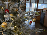 12月限定【シーズナルパーティプラン：Xmas】　