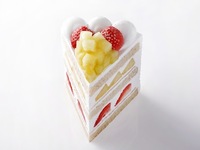 エクストラスーパーダブルショートケーキ