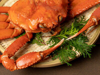 活ずわい蟹会席　 