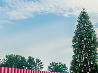 【ランチビュッフェ 】 LUIGANS CHRISTMAS BUFFET -ルイガンズ クリスマス ビュッフェ-