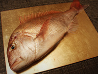 19,800 yen course (1 person)