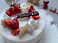 ノエルショートストロベリー６号サイズ