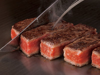 Beefsteak Lunch Course 【Ukai Selected Beef Tenderloin Steak】