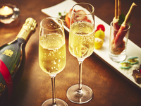 2025年-2026年　年末限定リゾートVIP シート