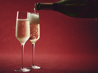 2025–2026 Year-End Limited Resort Premium Seat