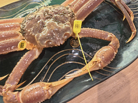 Echizen Crab [Extreme] Premium Full Course (Course price may vary depending on purchase price, market price)