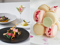 【ディナーコースC】マカロンケーキ