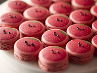 【平日限定】恋するいちごビュッフェ ～Strawesome Festival！～（4～12歳）