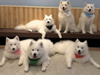 <Winter Holiday Period> Regular ticket (50 minutes)