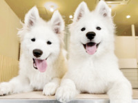 <Winter Holiday Period> Regular ticket (50 minutes)