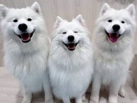 <Winter Holiday Period> Regular ticket (50 minutes)