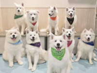 <Winter Holiday Period> Regular ticket (50 minutes)