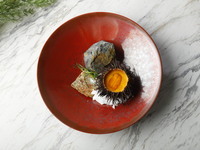 【ランチ】Tasting Lunch【東京湾・お台場側席】